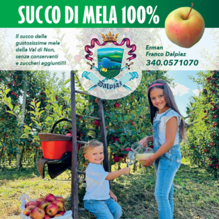 BAG IN BOX SUCCO DI MELA 100% - DALPIAZ