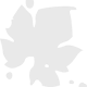 foglia-di-vite-grigio